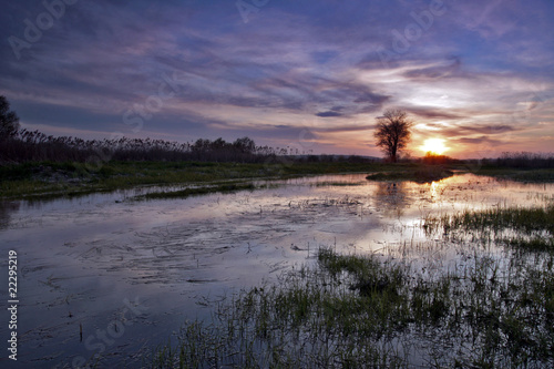 Naklejka sundown polerować nida polen 