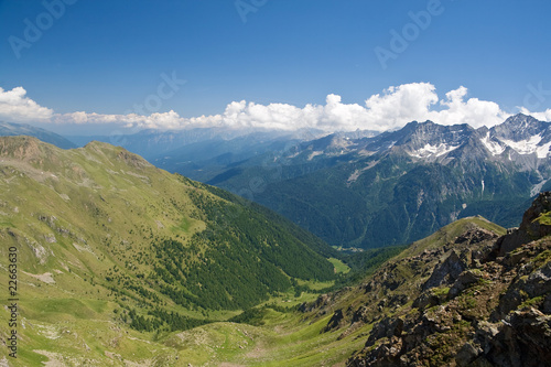 Plakat panoramiczny las lód