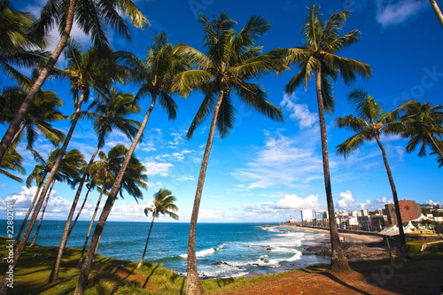 Obraz na płótnie ameryka południowa plaża brazylia brzeg morze