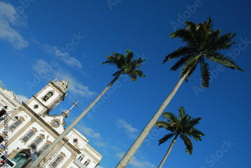 Obraz na płótnie brazylia palma klasztor natal orzech kokosowy