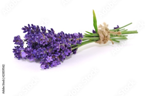 Plakat kwiat aromaterapia bukiet lawenda fitness