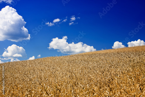 Plakat jesień pejzaż wiejski wieś natura