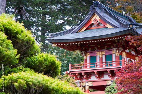 Plakat drzewa kalifornia azja świątynia japoński