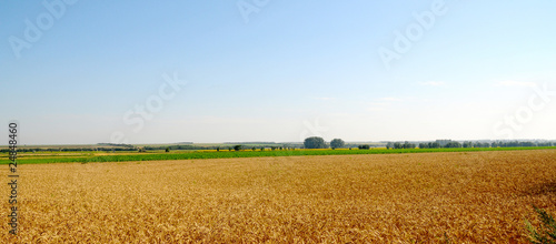 Plakat ziarno wieś góra jesień zboże