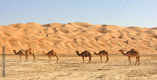 Obraz na płótnie pejzaż natura pustynia spokojny