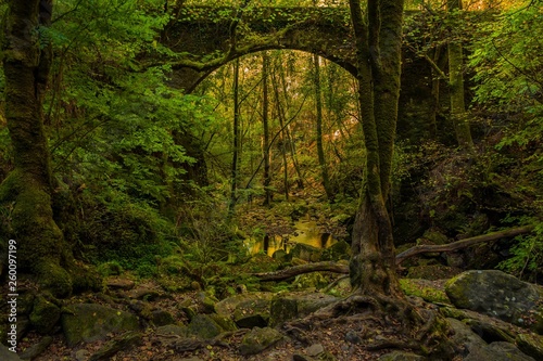 Fototapeta lato ścieżka jesień