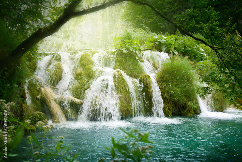 Naklejka piękny park las lato