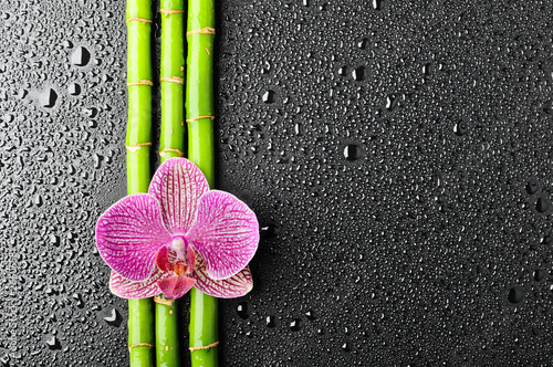 Plakat masaż bambus kwiat