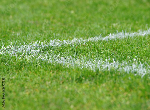 Fotoroleta stadion trawa stadion piłkarski