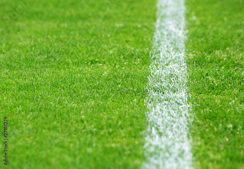 Obraz na płótnie stadion natura trawa