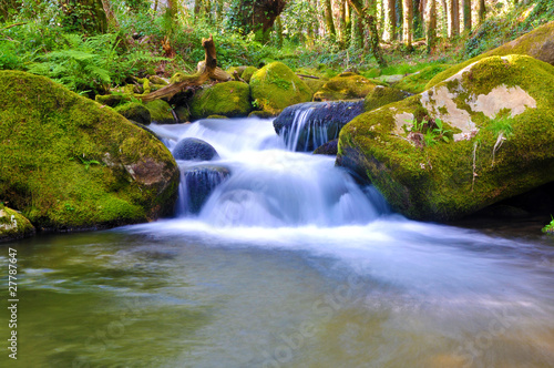 Naklejka las wodospad kaskada natura woda