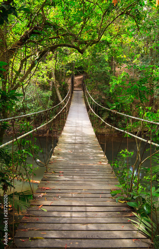 Plakat Bridge to the jungle,Khao Yai national park,Thailand