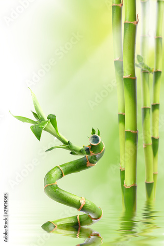 Plakat natura zdrowy joga wellnes