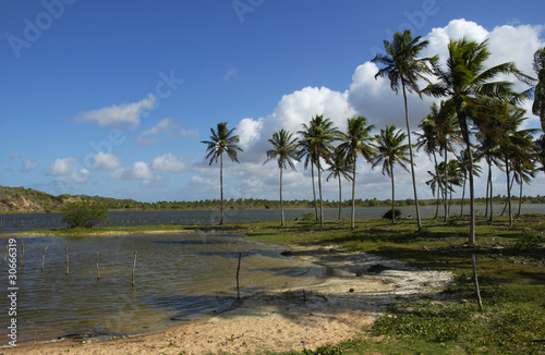 Fototapeta brazylia ameryka południowa natura plaża