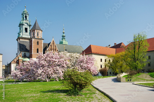 Fotoroleta katedra niebo wieża architektura