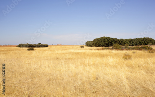 Fototapeta słoma widok hiszpania pole żniwa