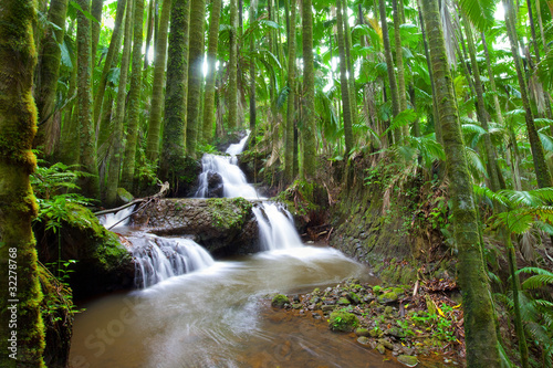 Obraz na płótnie las roślinność hawaje kaskada
