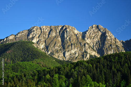 Naklejka tatry las widok wzgórze zespół