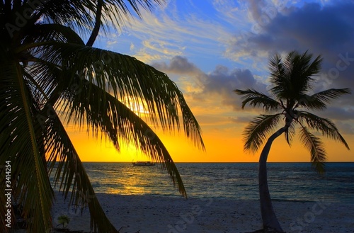 Plakat plaża malediwy rafa karaiby woda