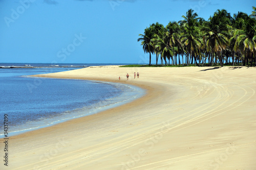 Obraz na płótnie fala brazylia egzotyczny wybrzeże