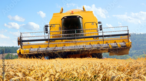 Obraz na płótnie roślina mąka pole maszyna pszenica