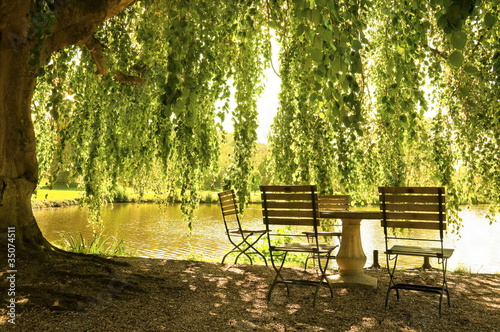 Plakat woda świeży piękny park natura