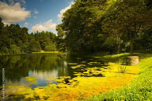 Fotoroleta jezioro spokojny natura krajobraz widok