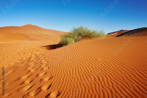 Naklejka pejzaż afryka pustynia słońce