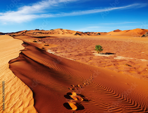 Naklejka natura wydma pejzaż pustynia