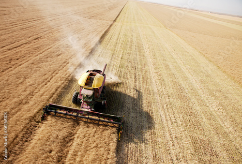 Fototapeta pejzaż widok wieś traktor