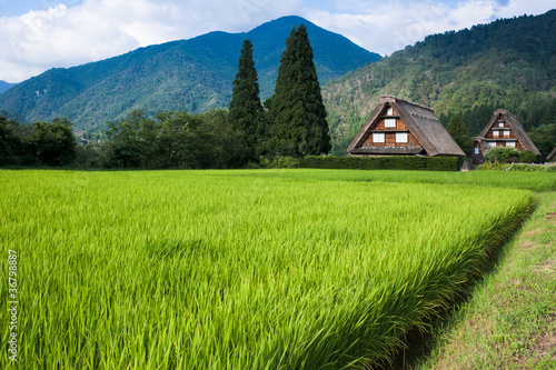 Plakat japonia krajobraz wiejski