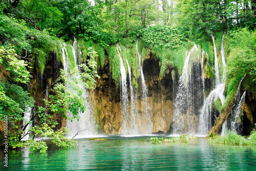 Naklejka pejzaż drzewa park chorwacja las