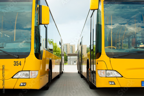 Fotoroleta autobus park żółty