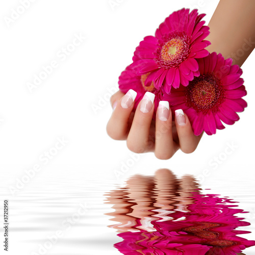 Plakat manicure kosmetyk gerbera wellnes