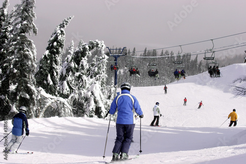 Naklejka śnieg ruch narciarz wzgórze drzewa