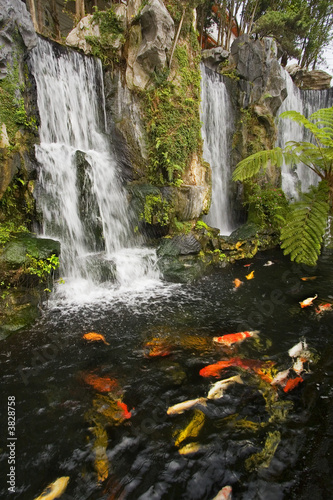 Obraz na płótnie wodospad japoński azjatycki woda