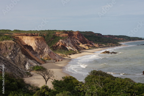 Naklejka roślinność morze plaża brazylia