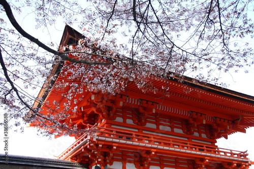 Fototapeta architektura japoński zen natura