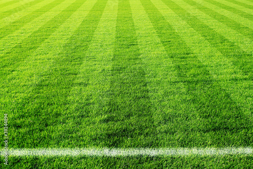 Obraz na płótnie sport piłka boisko piłka nożna pole