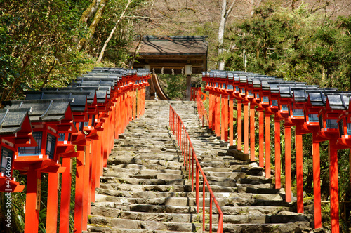 Fototapeta sanktuarium góra japonia drzewa