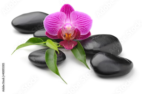 Plakat Orchidea pośród kamieni zen