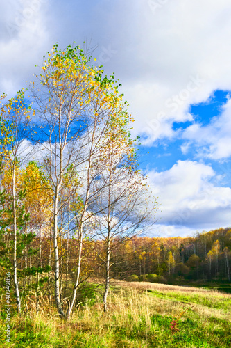 Fototapeta natura łąka niebo