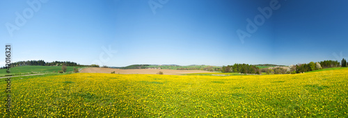 Plakat łąka natura wiejski pole pejzaż