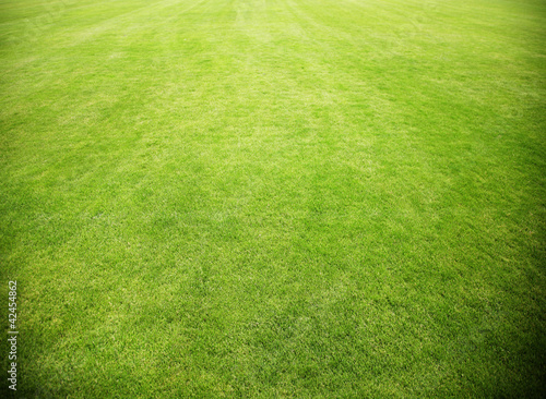 Fotoroleta zabawa stadion sportowy pole