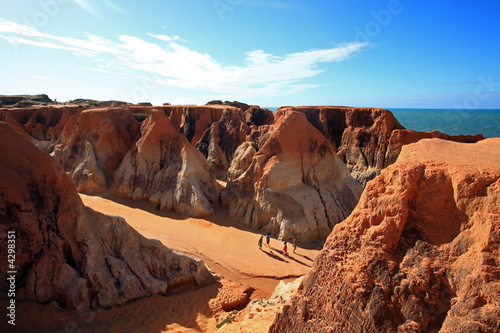 Fotoroleta lato natura piękny plaża