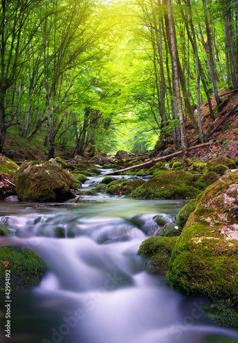 Naklejka natura kanion lato ruch