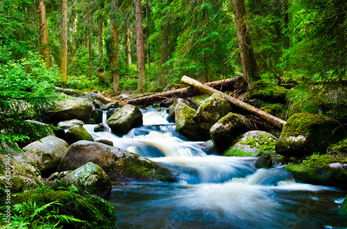 Naklejka Rwący potok z wodospadami w lesie