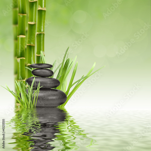 Plakat woda roślina azjatycki wellnes masaż