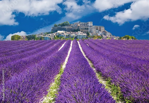 Plakat francja europa lawenda