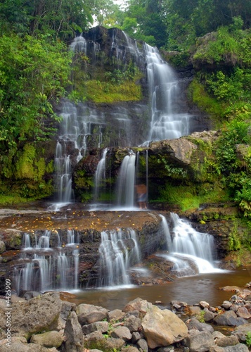 Fotoroleta lato woda las natura